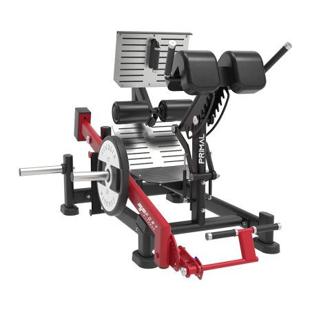 Primal Dual 45 Degree Hip Extension